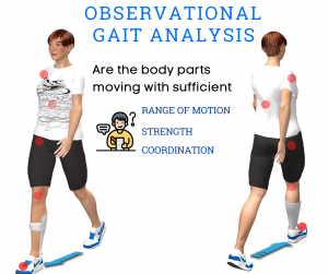 Walking Movement Analysis